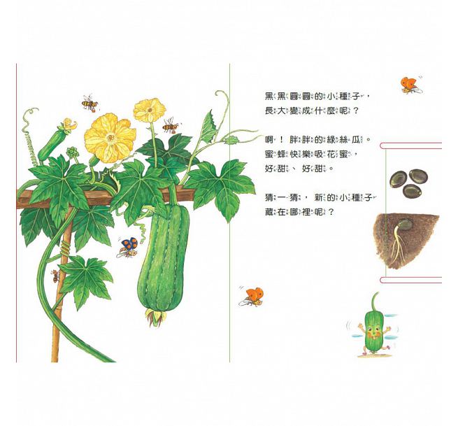 小種子，快長大-蔬菜篇
